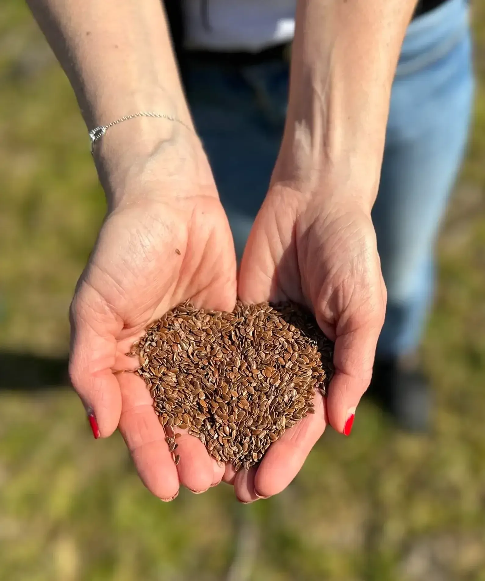 A handful of brown flaxseed, held in two hands