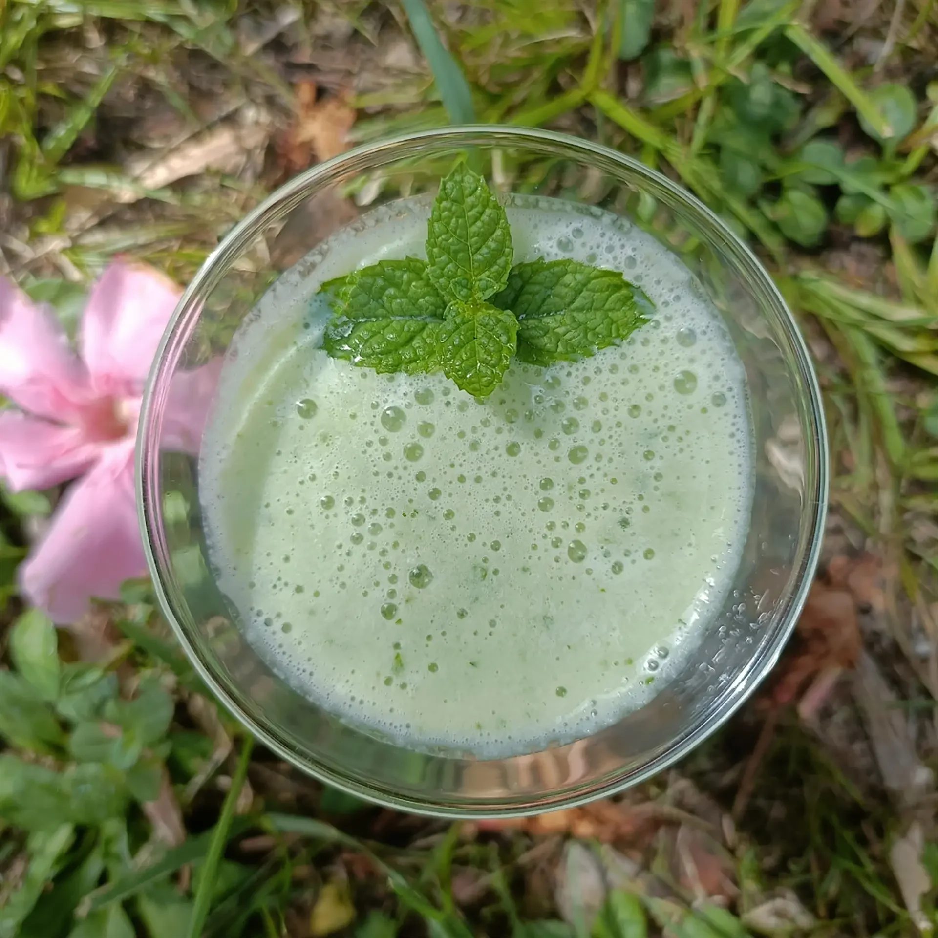 Soupe de concombre à l huile de lin - Lin des Pyrénées